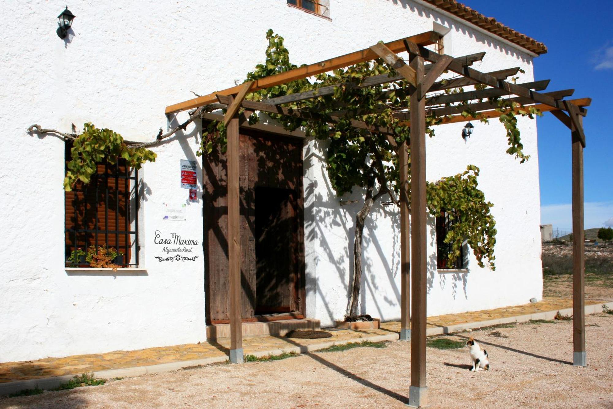 Casa Rural Casa Maxima Yecla Kültér fotó