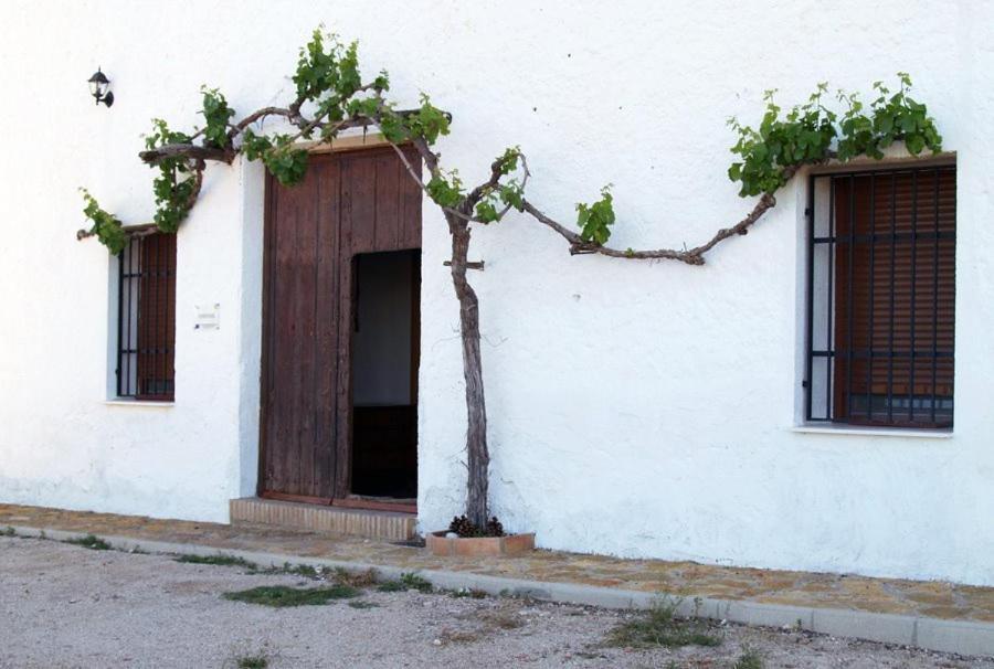 Casa Rural Casa Maxima Yecla Szoba fotó